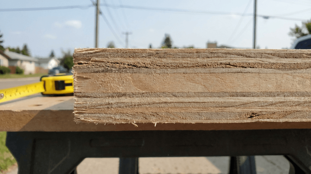 cross-section of cabinet-grade plywood showing alternating wood veneer layers in Saskatoon Saskatchewan